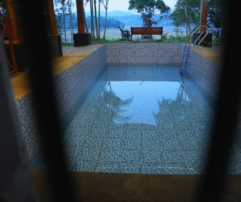 Feature Image (12)