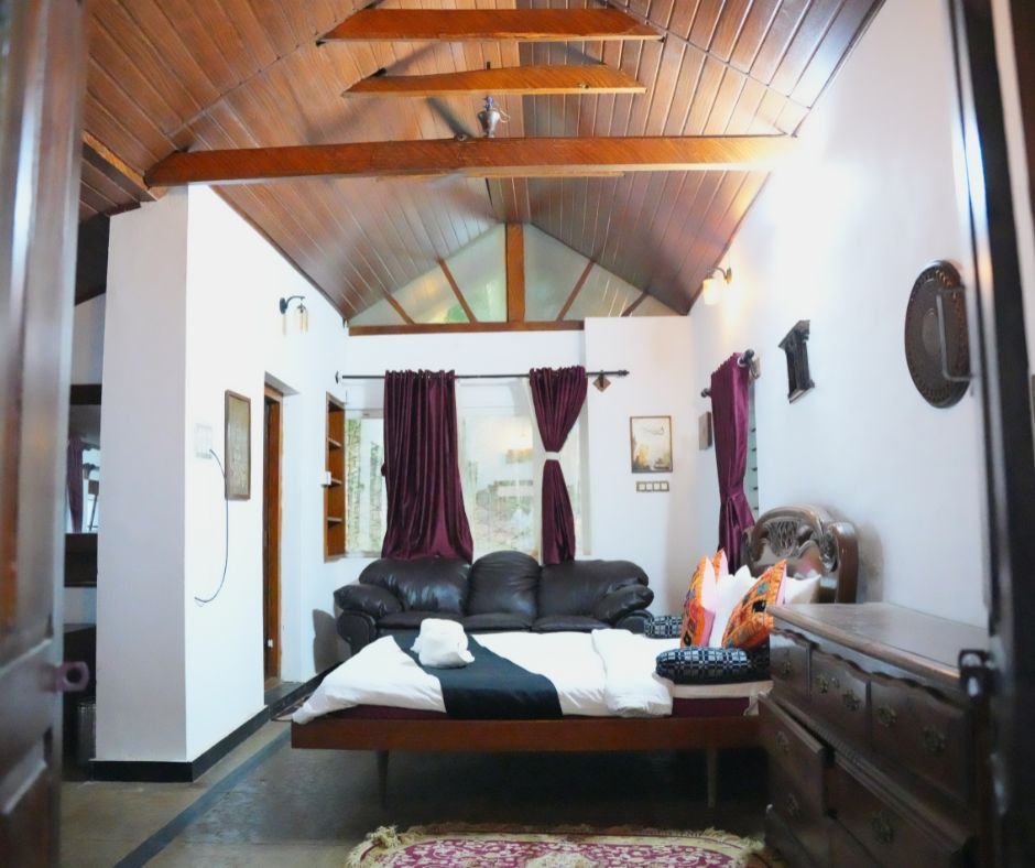 Feature Image (7)