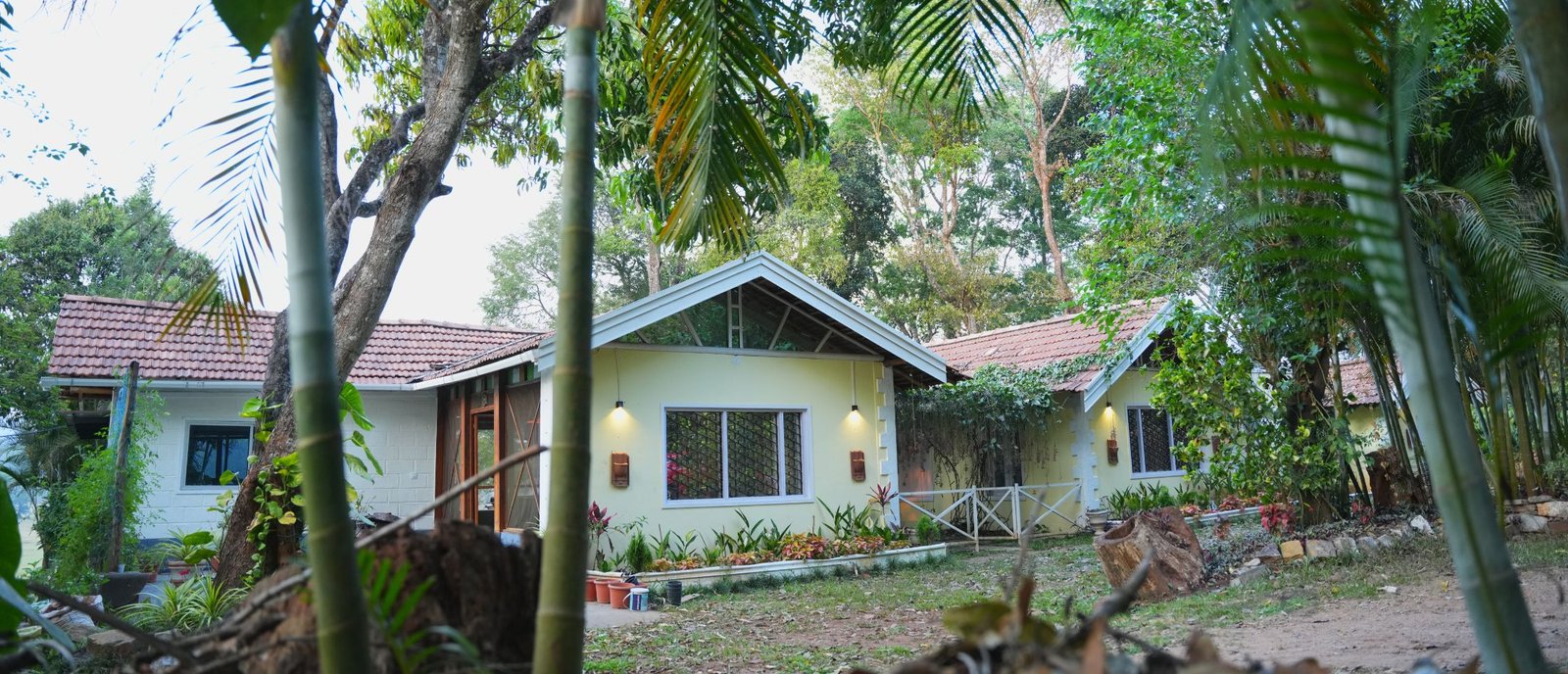 gallery (11)